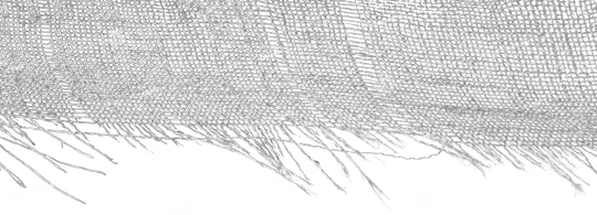 Fabric PNG