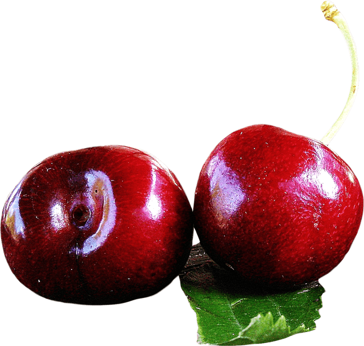 Cherry PNG