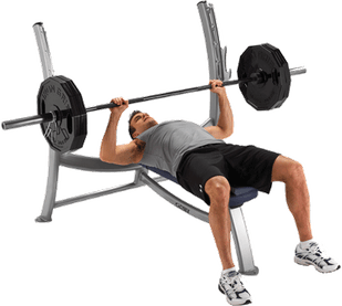 Exercise Bench PNG