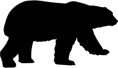 Black Bear PNG