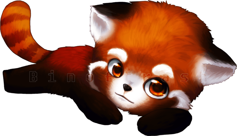 Red Panda PNG