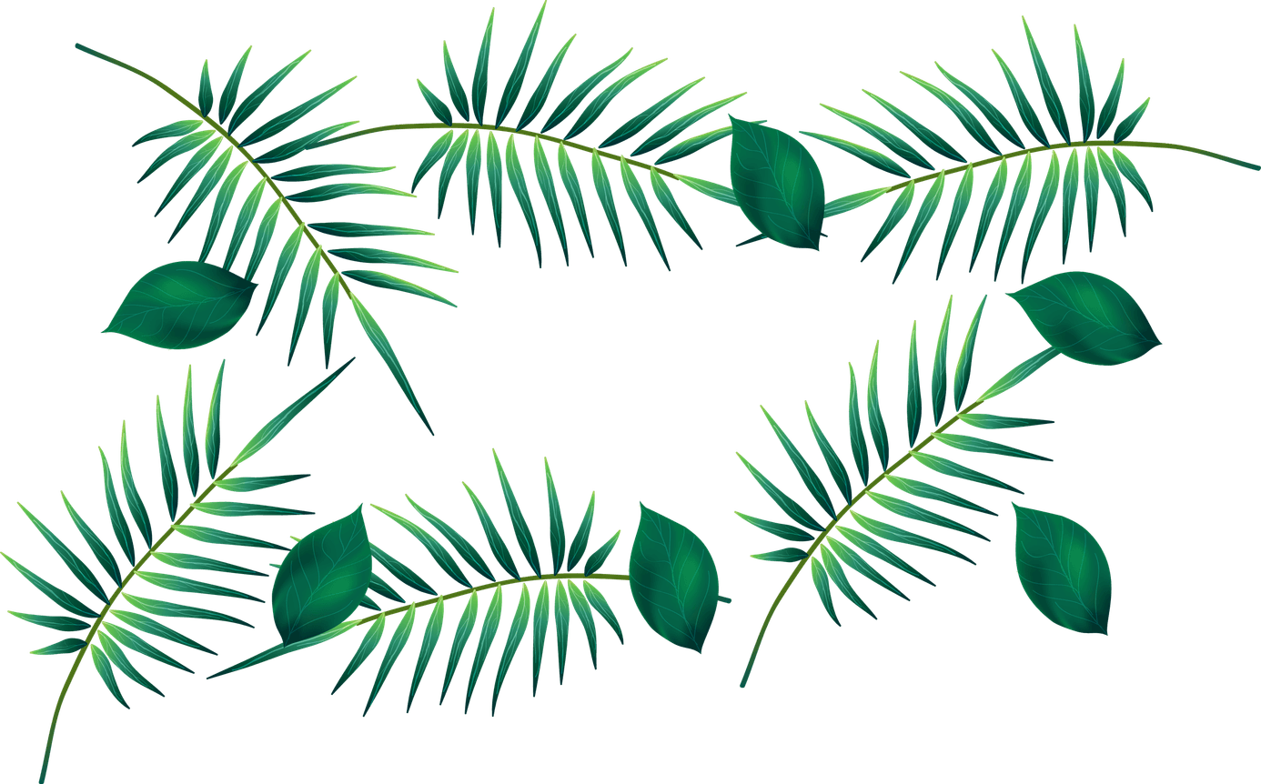 Tropical Leaves Border PNG