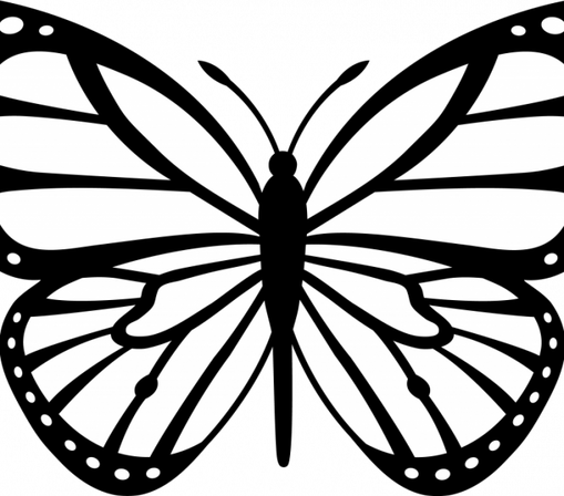 Butterfly Black And White PNG