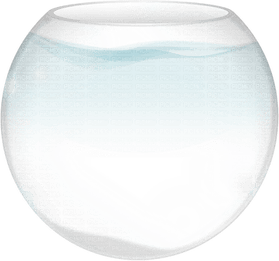Fish Bowl PNG