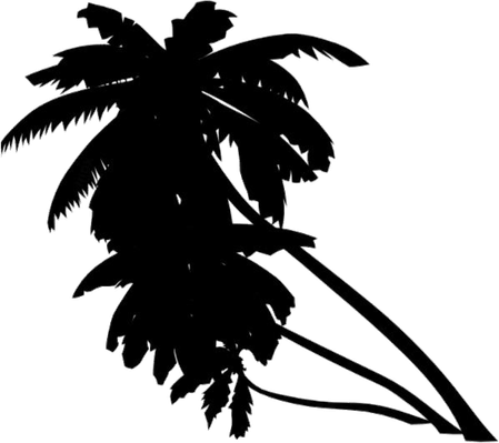 Coconut Palm Tree PNG