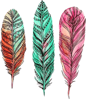 Watercolor Feather PNG
