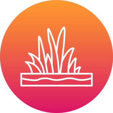 Grass Circle PNG