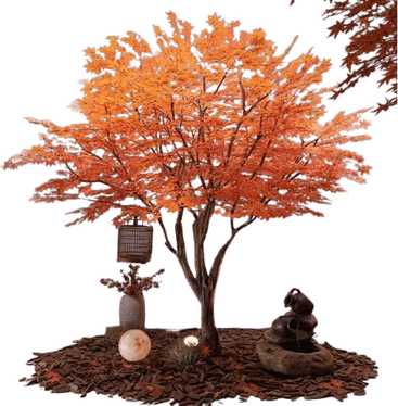 Maple Tree PNG
