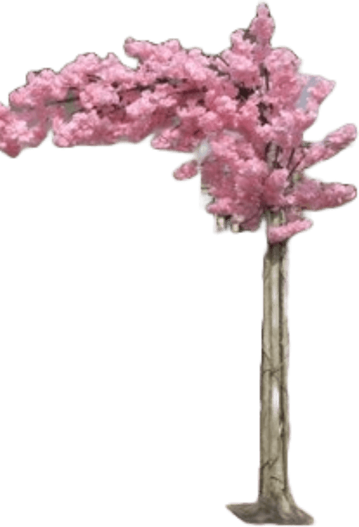 Blossom Tree PNG