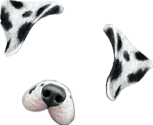 Snapchat Filter Dog PNG