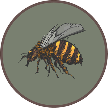 Bee Drawing PNG