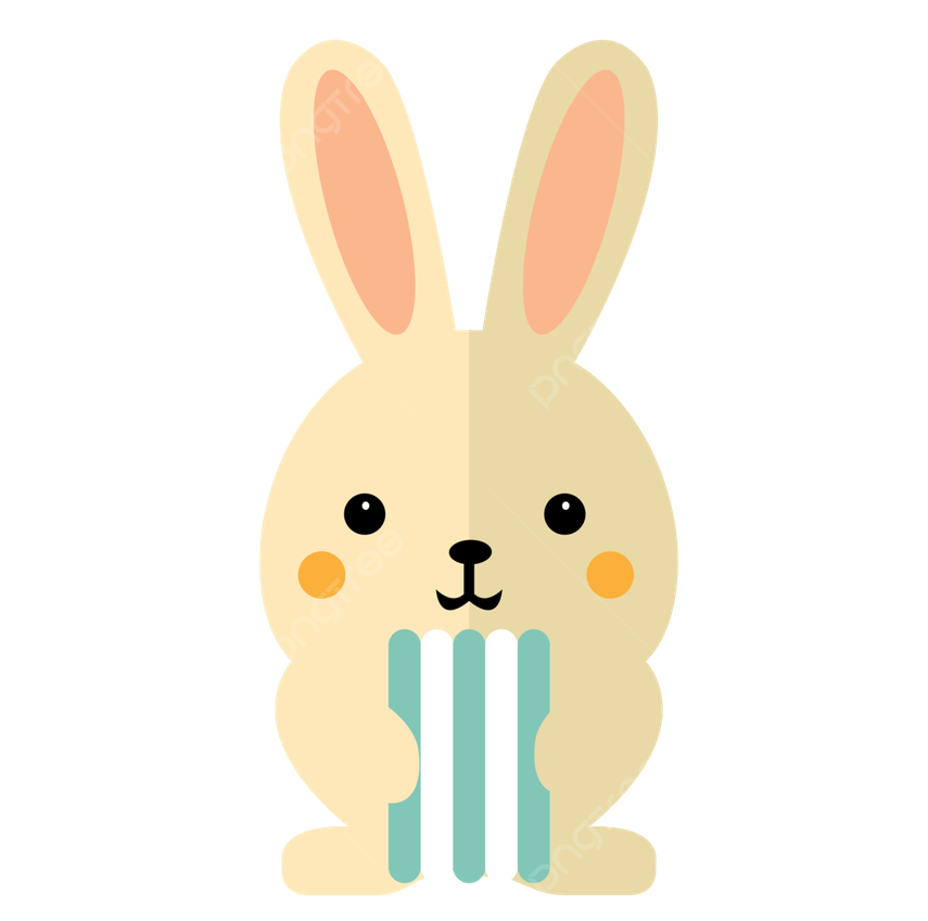 Cute Bunny PNG