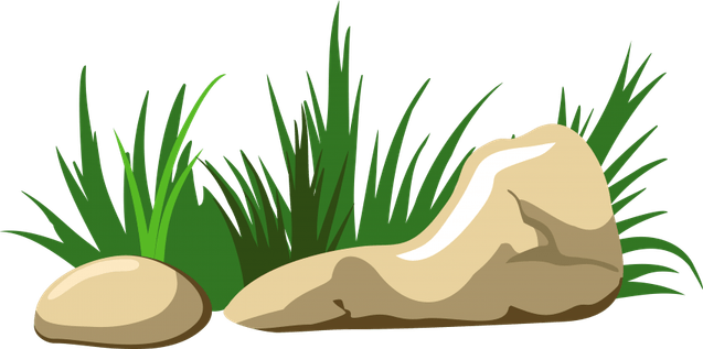 Rock With Grass PNG