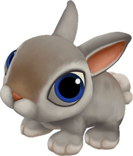 Rabbit PNG