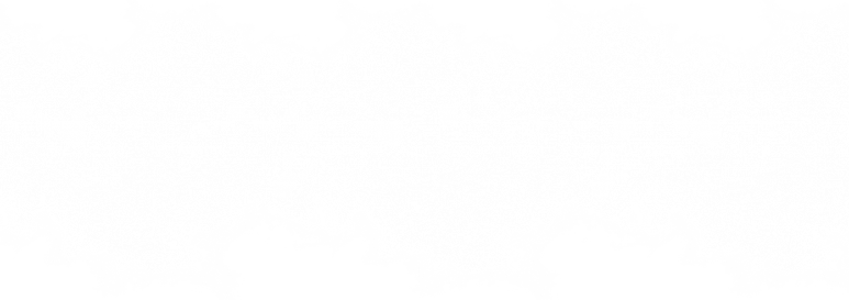 Page Rip PNG