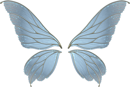 Realistic Fairy Wings PNG