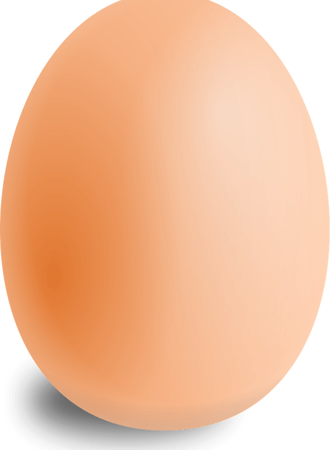 Egg PNG