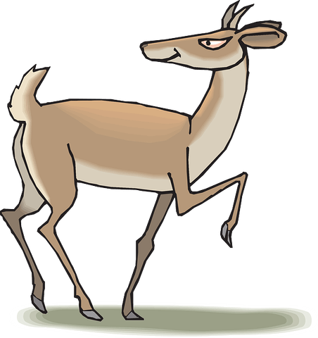 Pronghorn PNG