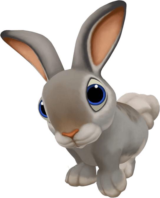 Rabbit PNG