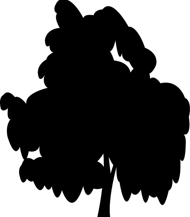 Black Willow Tree PNG