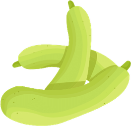 Bottle Gourd PNG
