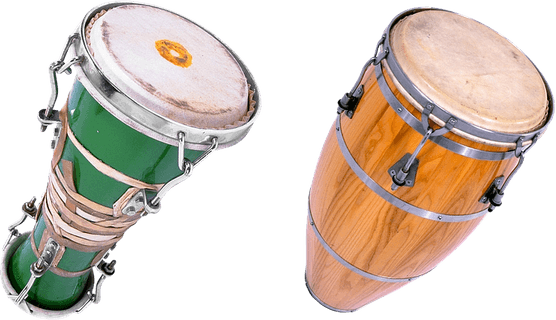 Bongo PNG