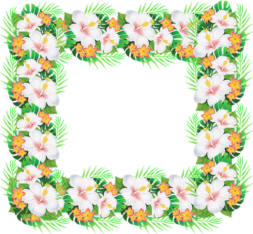 Hawaiian Border PNG