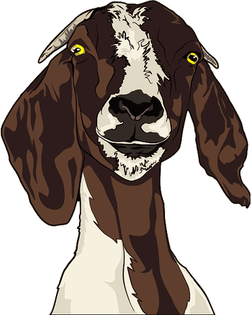 Goat Head PNG