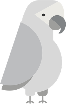 Grey Parrot PNG