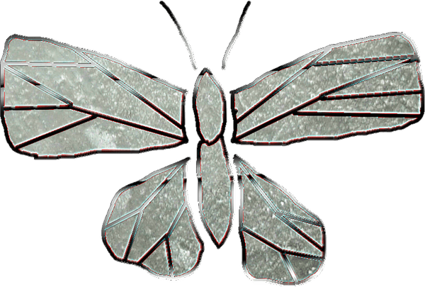 Cabbage Butterfly PNG