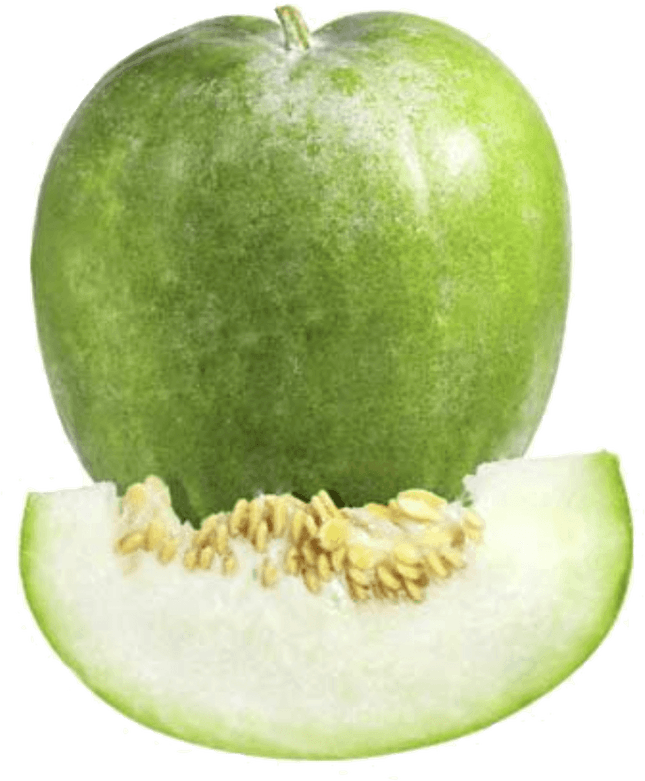 Ash Gourd PNG