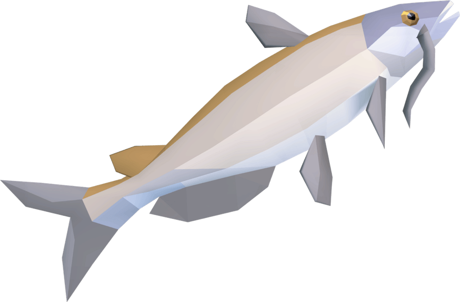 Catfish PNG