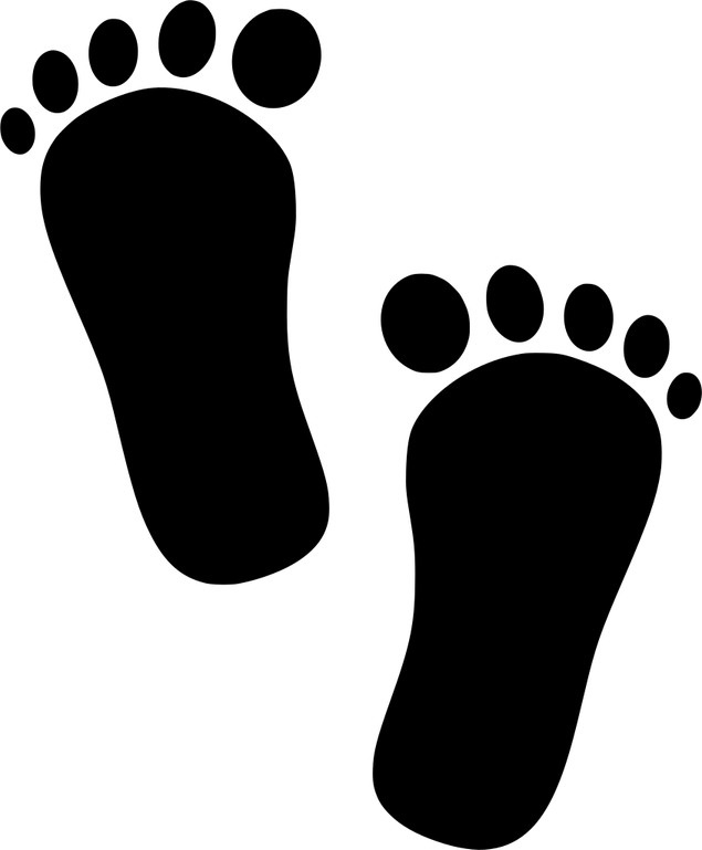 Animal Footprints PNG
