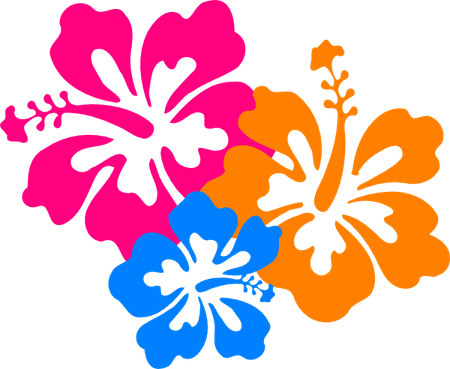 Hawaiian Border PNG