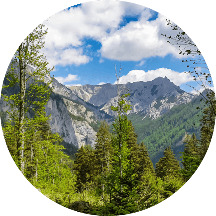 Mountain With Tree PNG