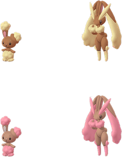 Happiny Pokemon PNG