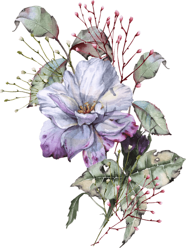 Watercolor Purple Flower PNG