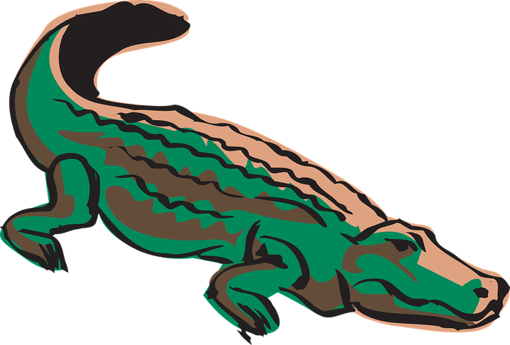 Caiman PNG