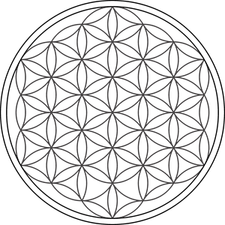 Flower Of Life PNG