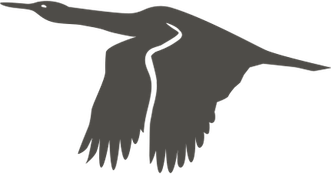 Cormorant PNG