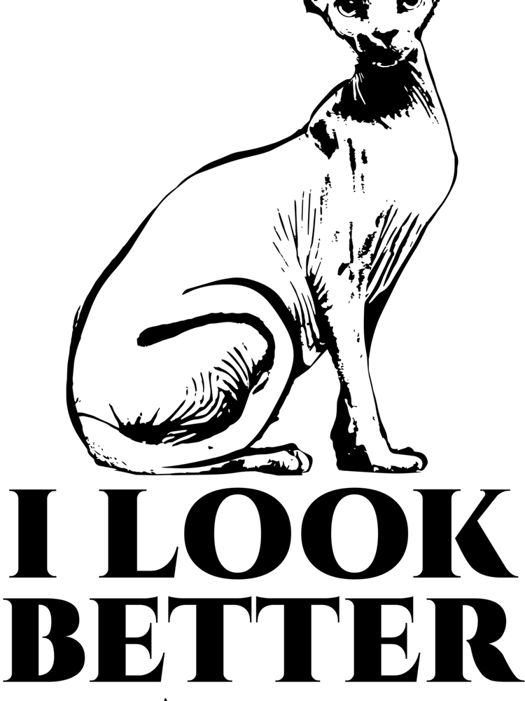 Sphynx Cat PNG