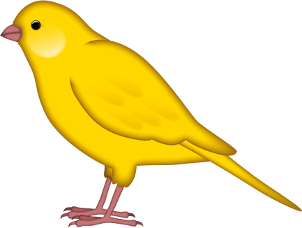 Canary Bird PNG