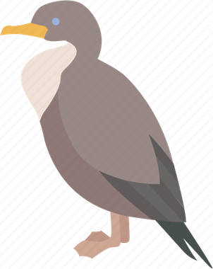 Cormorant PNG