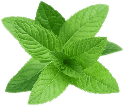 Peppermint PNG