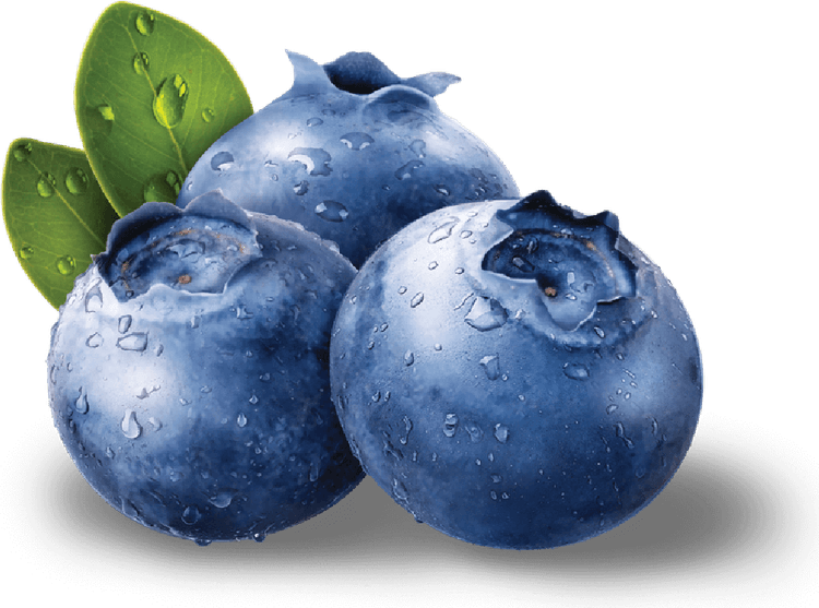 Blueberries PNG