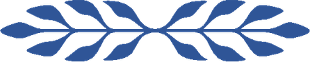Leaves Divider PNG