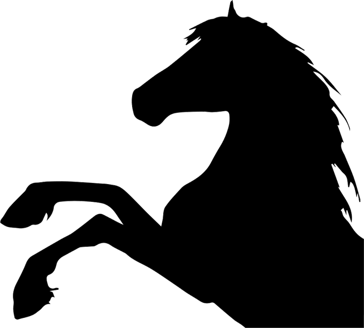 Horse Head PNG