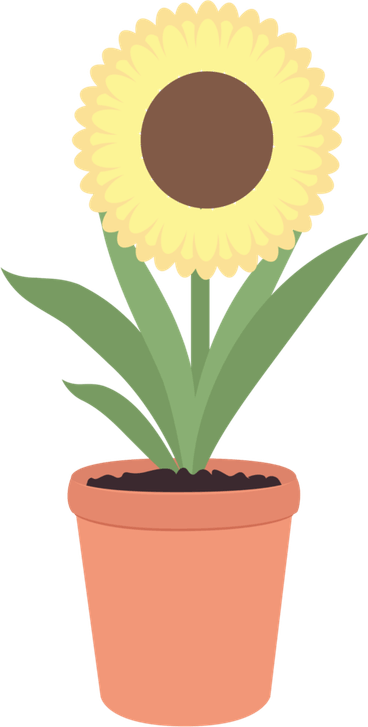 Pot PNG