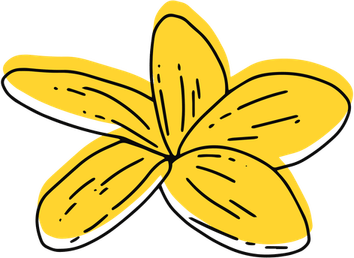 Plumeria PNG