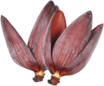 Raw Banana Flower PNG